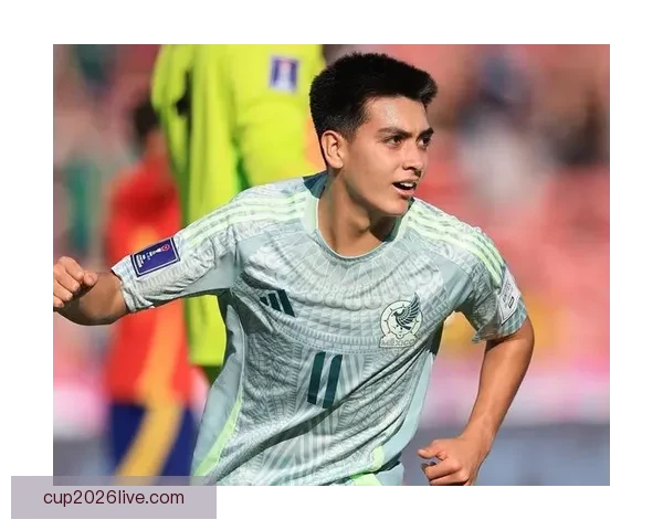 心理专家：国米未进世界杯球员可能自责 需专业辅导帮助走出困境