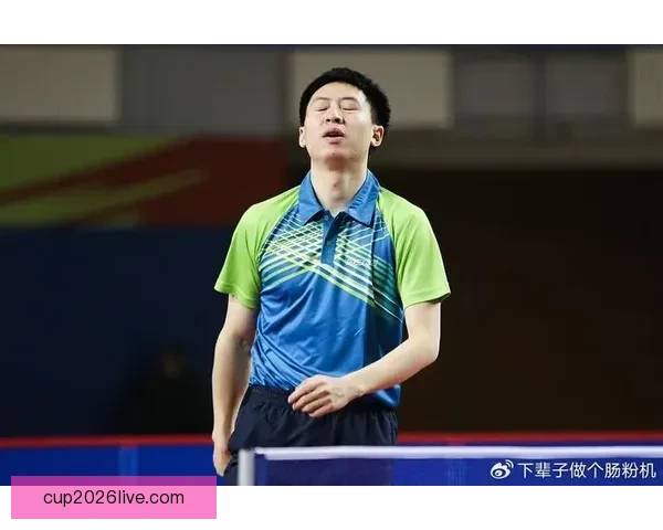 离开国乒八年后方博转身再出发从被优化到重返赛场寻找人生第二主场